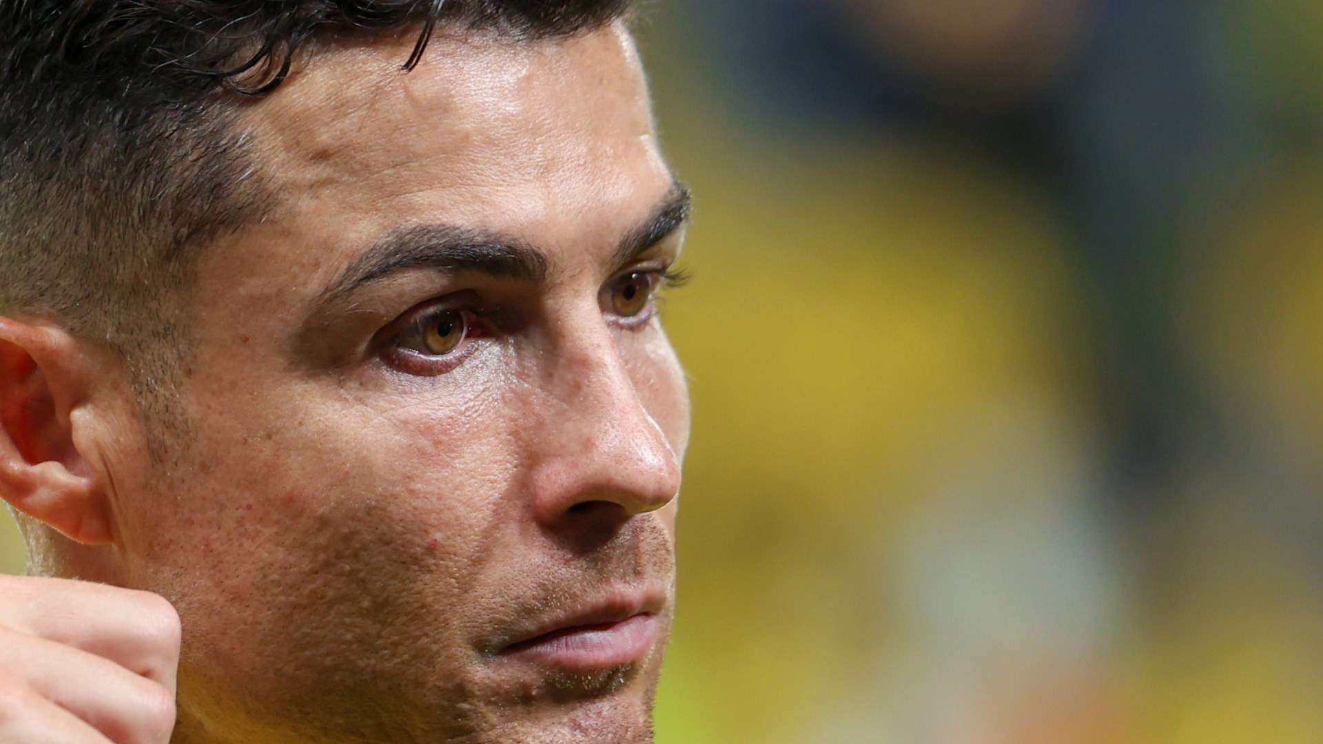 青春的盛宴 青春的盛宴